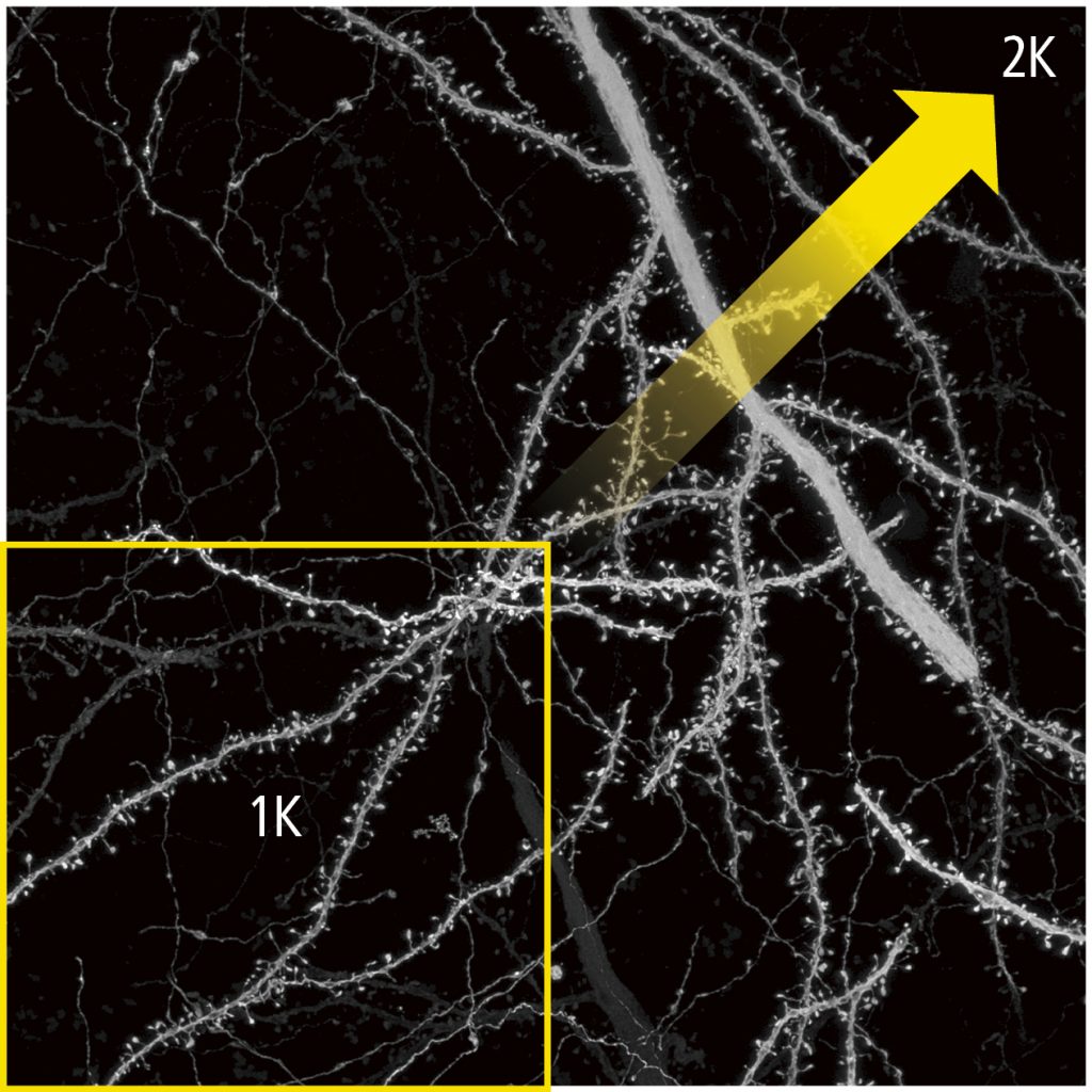 BBIN��Ѷ-������Ϸ����