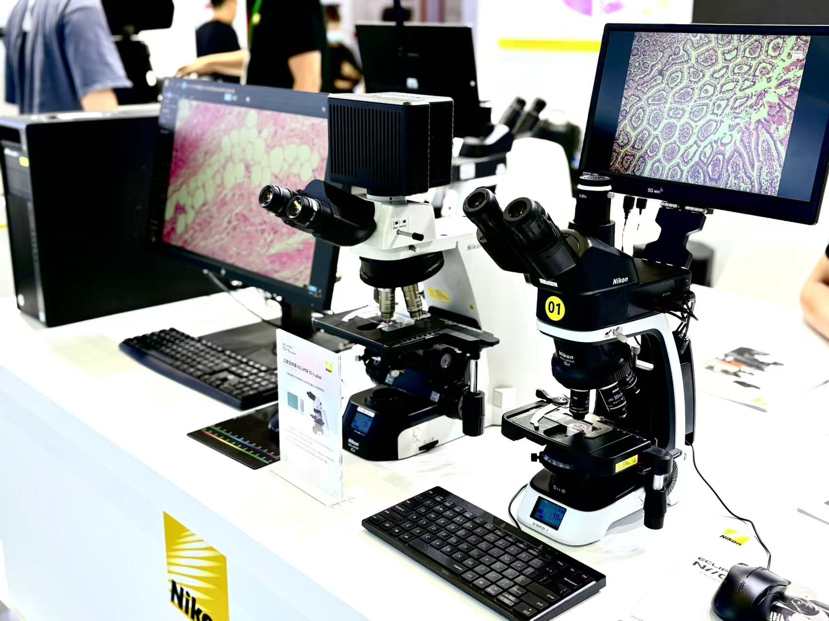 BBIN��Ѷ-������Ϸ����