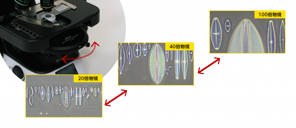 BBIN��Ѷ-������Ϸ����