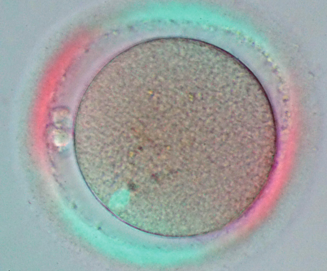 BBIN��Ѷ-������Ϸ����